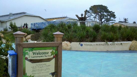 Tomol Interpretive Play Area